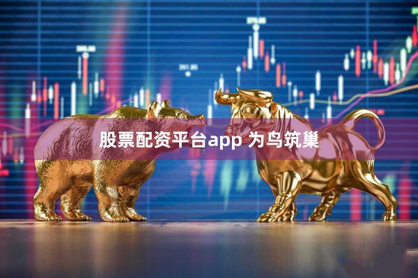 股票配资平台app 为鸟筑巢