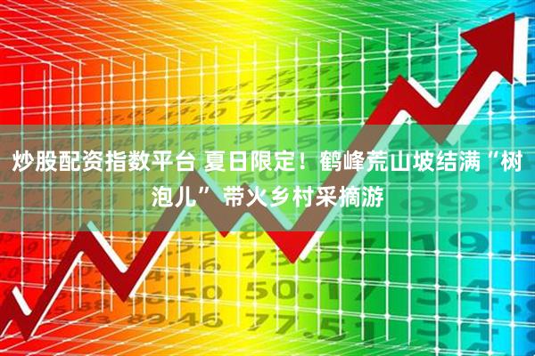 炒股配资指数平台 夏日限定！鹤峰荒山坡结满“树泡儿” 带火乡村采摘游