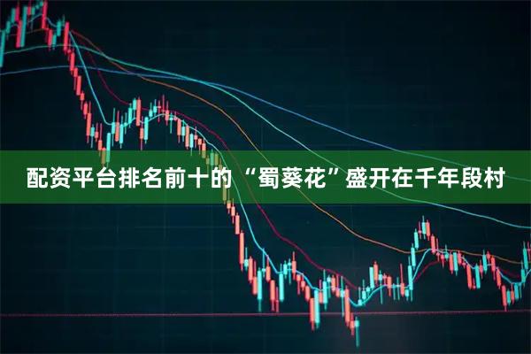 配资平台排名前十的 “蜀葵花”盛开在千年段村